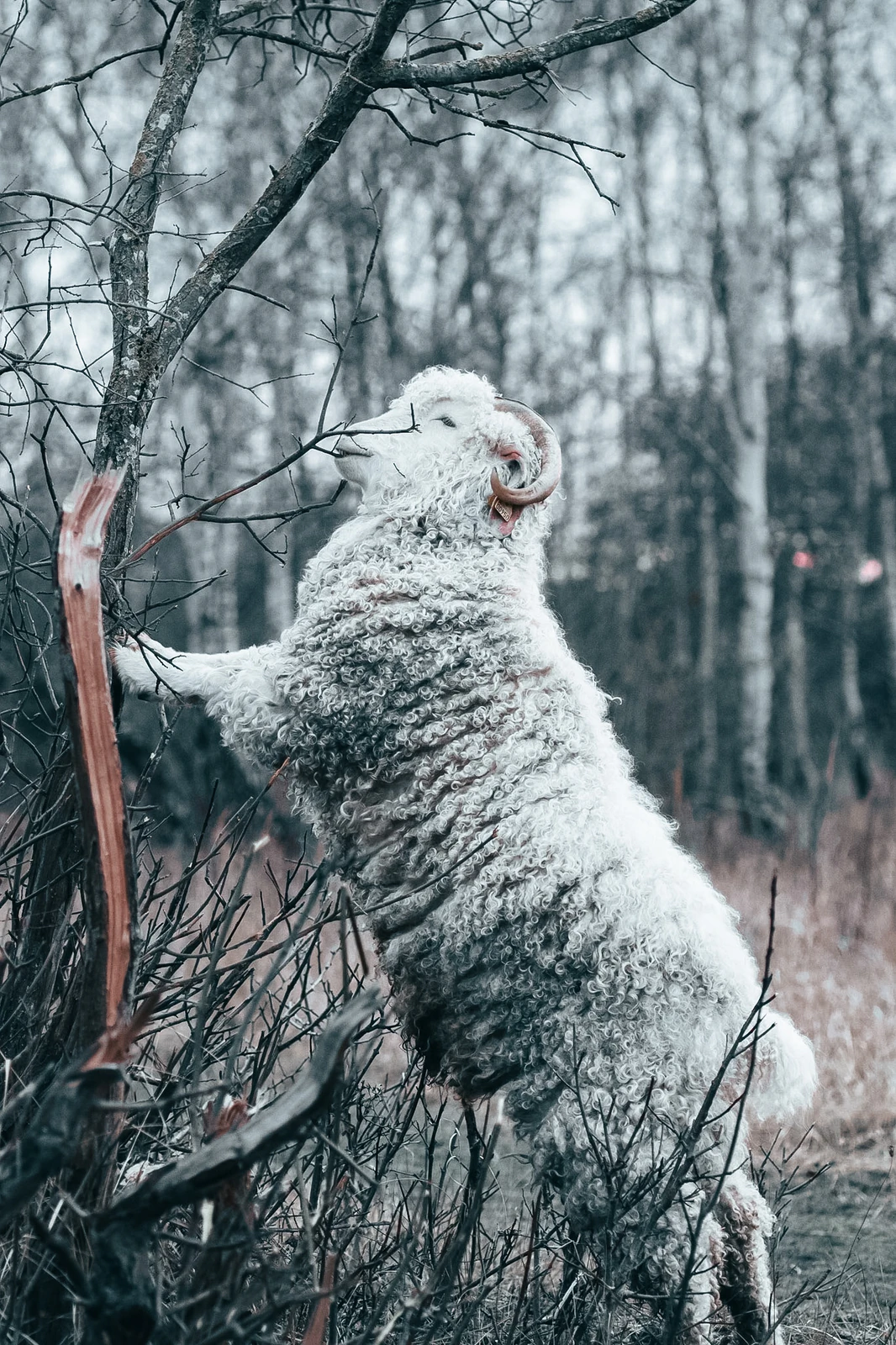 Photograph by Kasper Marx Andersen