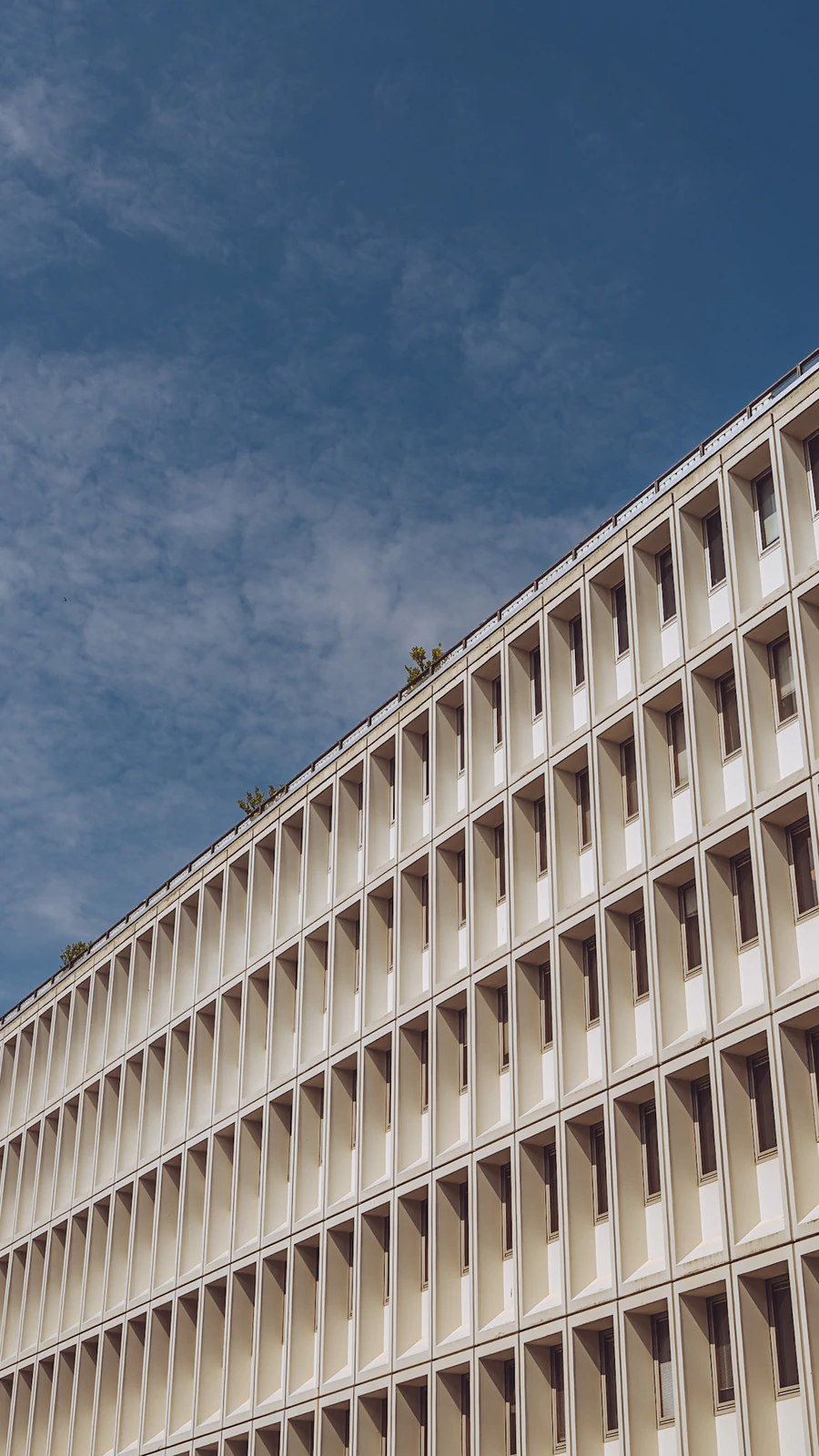 Photograph by Kasper Marx Andersen