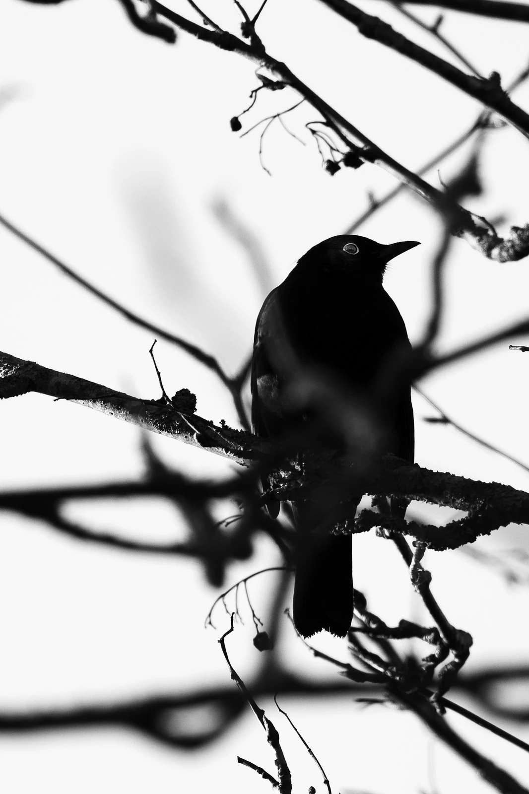 Photograph by Kasper Marx Andersen