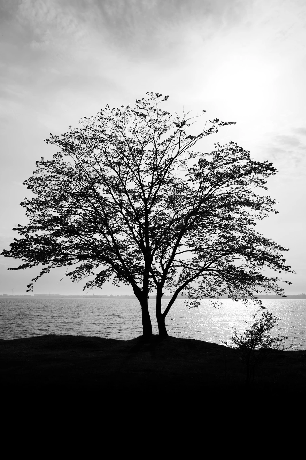 Photograph by Kasper Marx Andersen