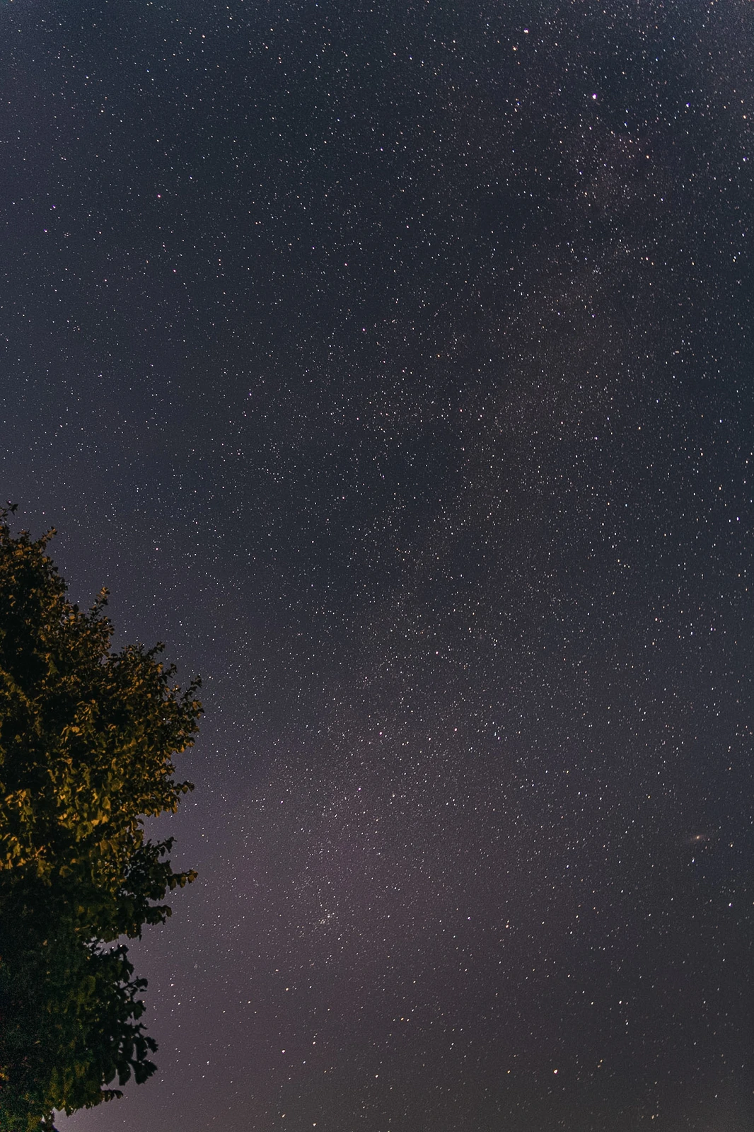 Photograph by Kasper Marx Andersen