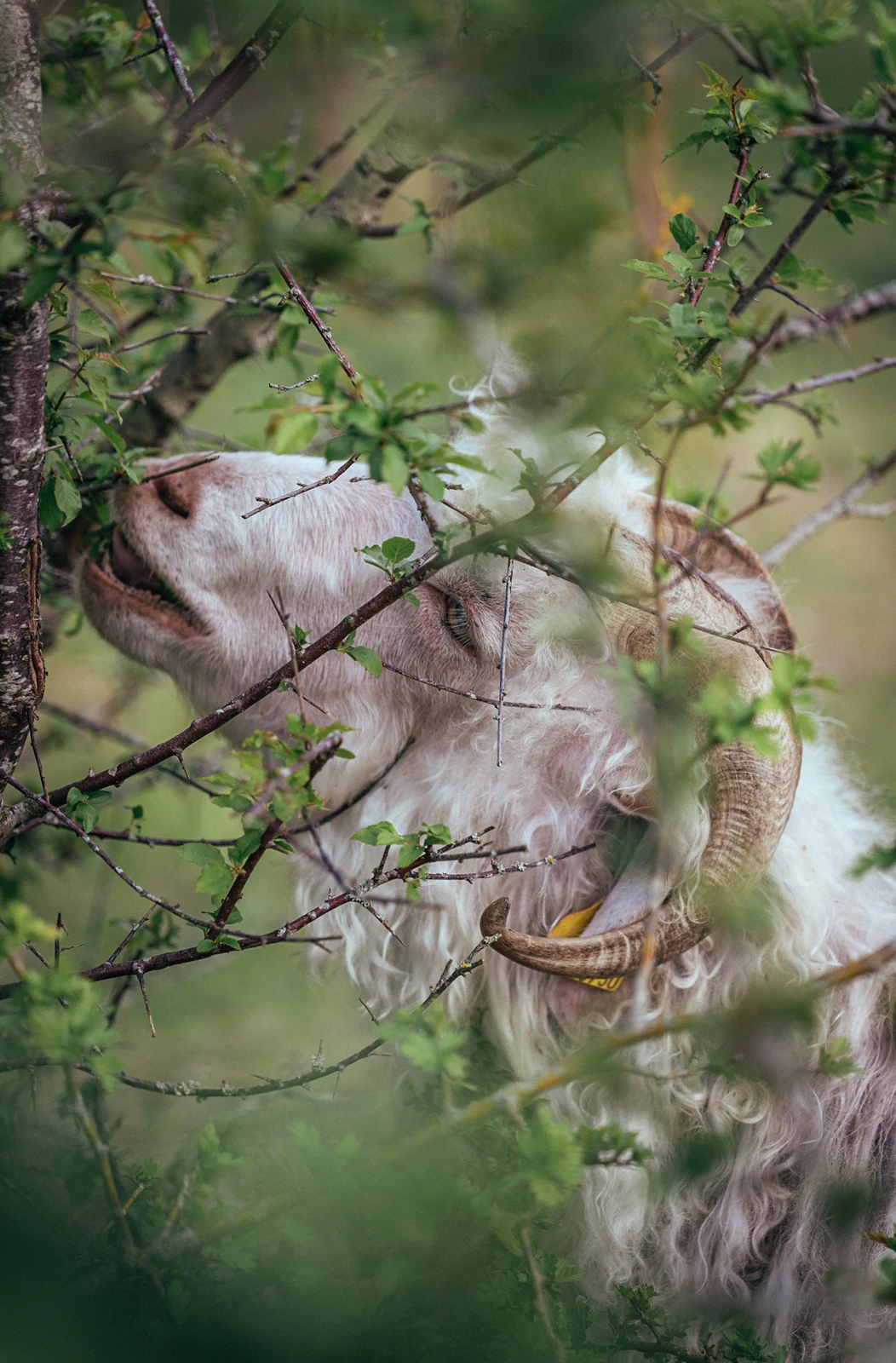 Photograph by Kasper Marx Andersen