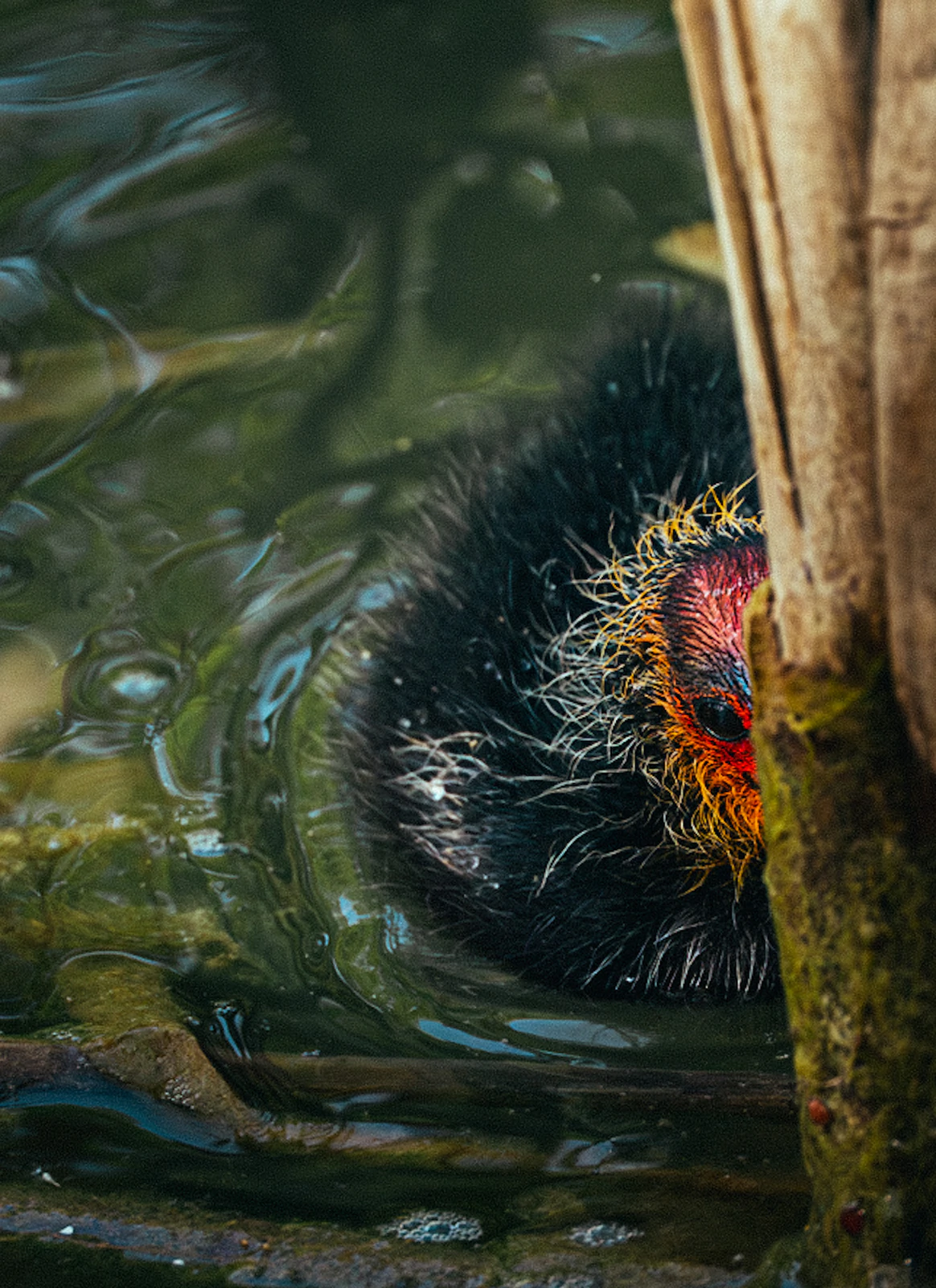 Photograph by Kasper Marx Andersen