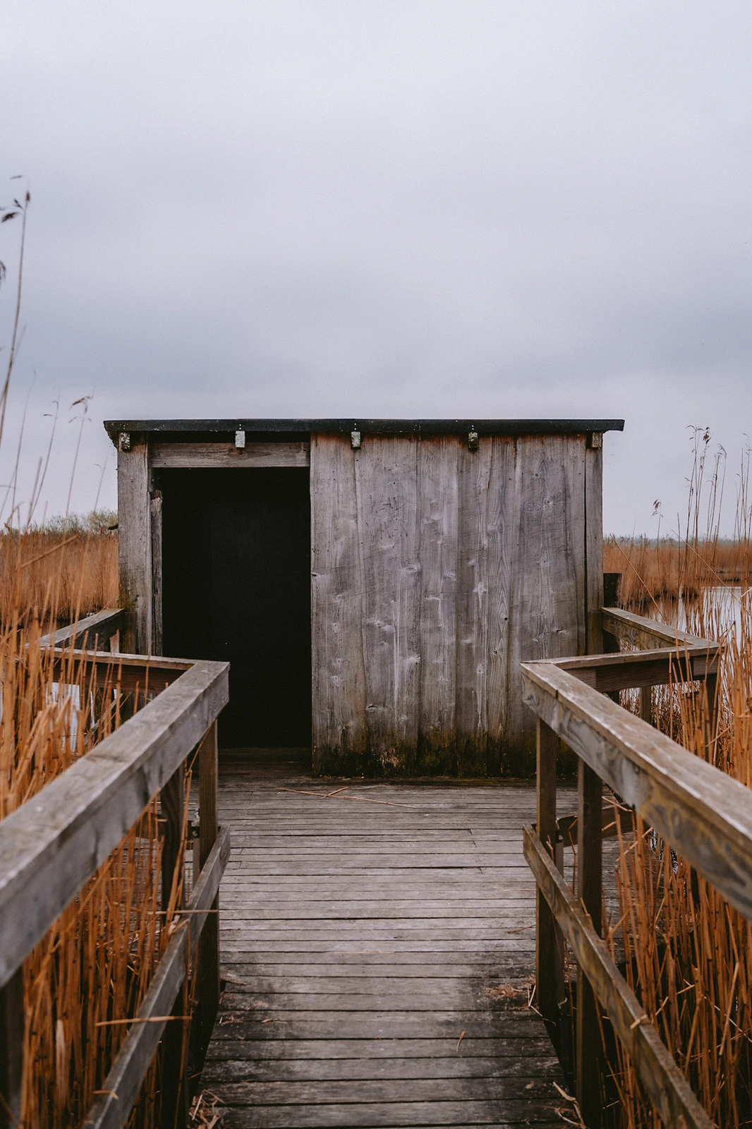Photograph by Kasper Marx Andersen