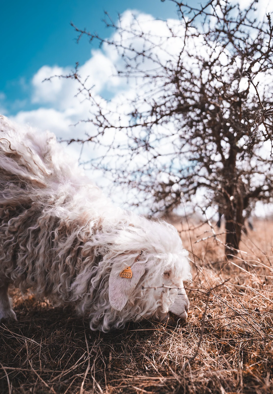 Photograph by Kasper Marx Andersen