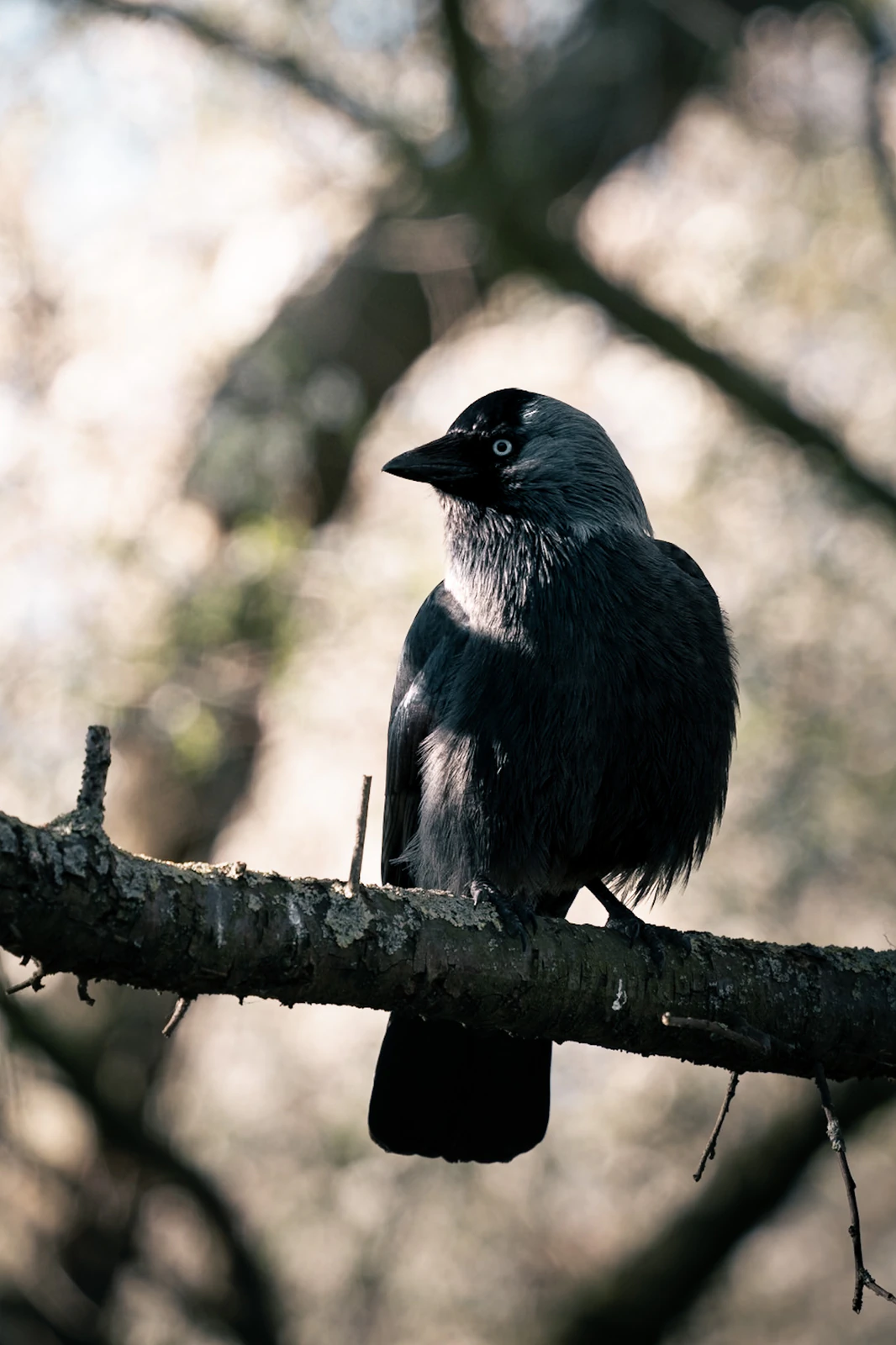 Photograph by Kasper Marx Andersen
