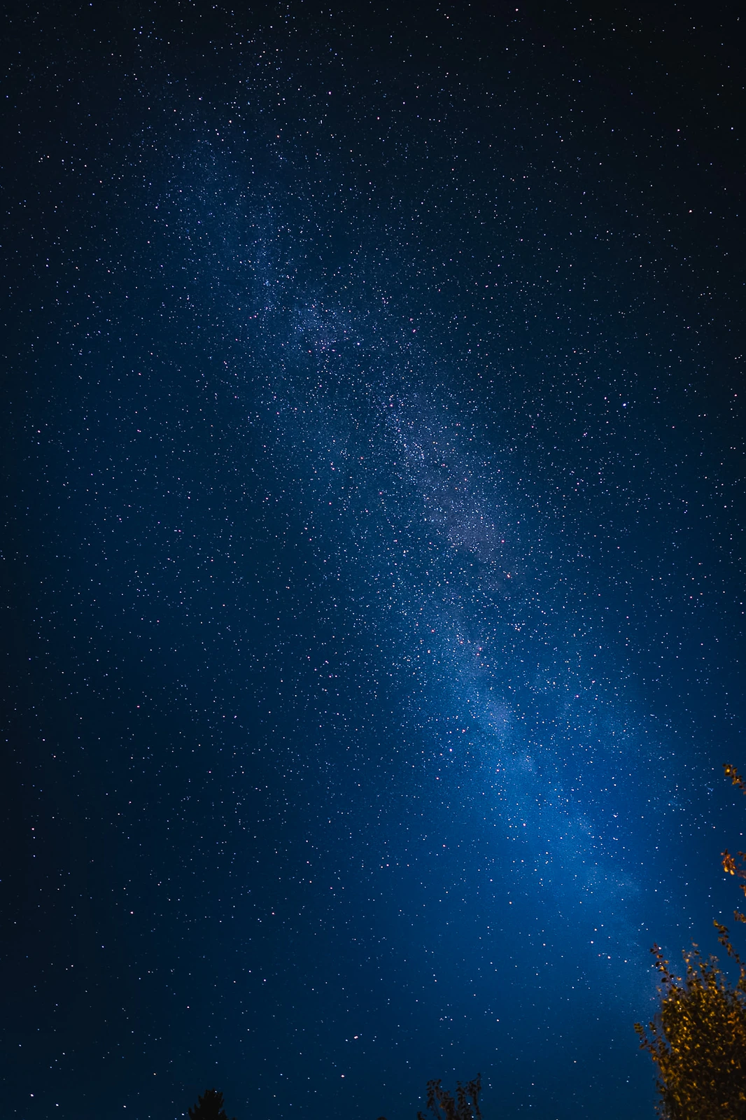 Photograph by Kasper Marx Andersen
