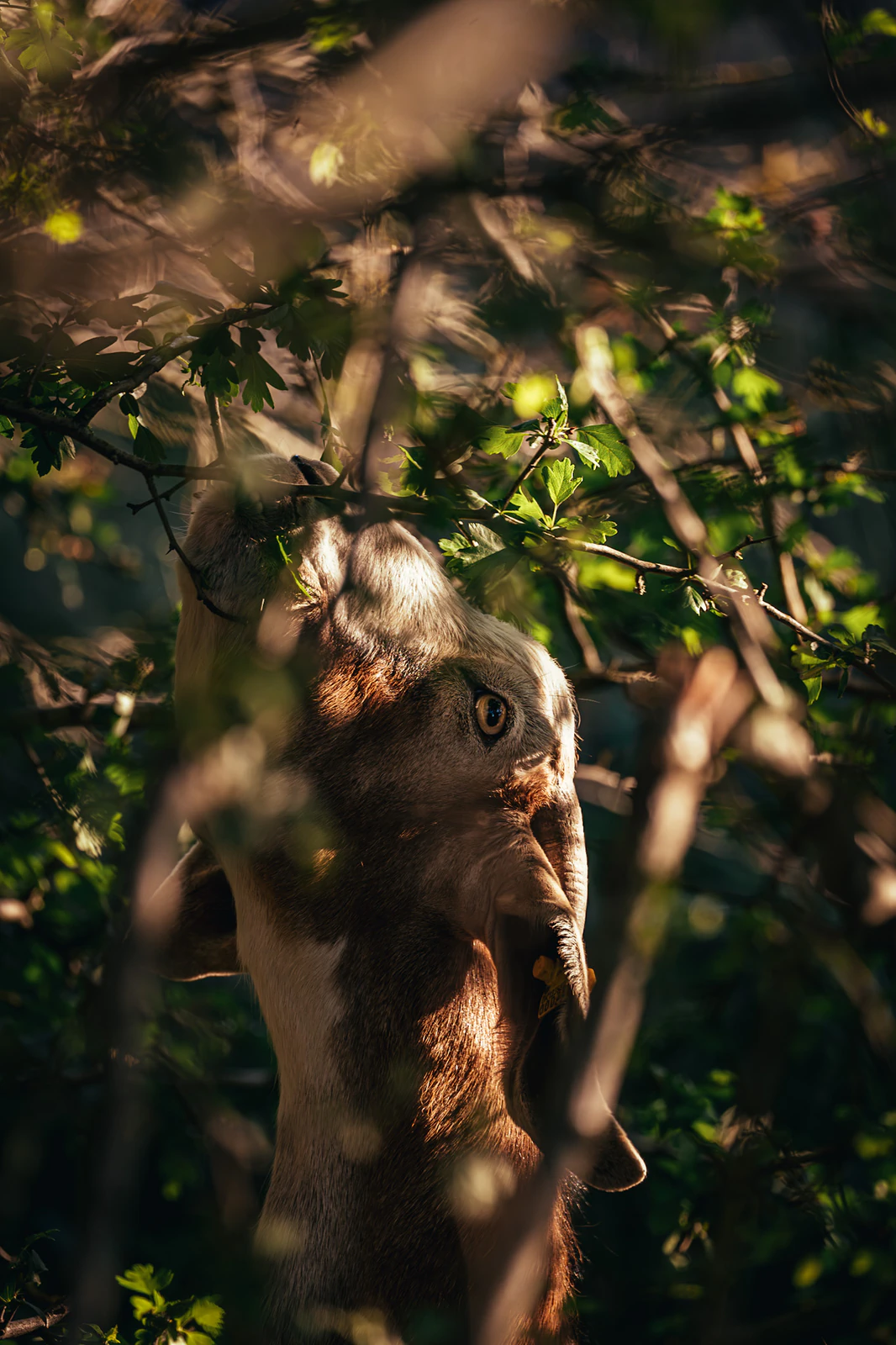 Photograph by Kasper Marx Andersen