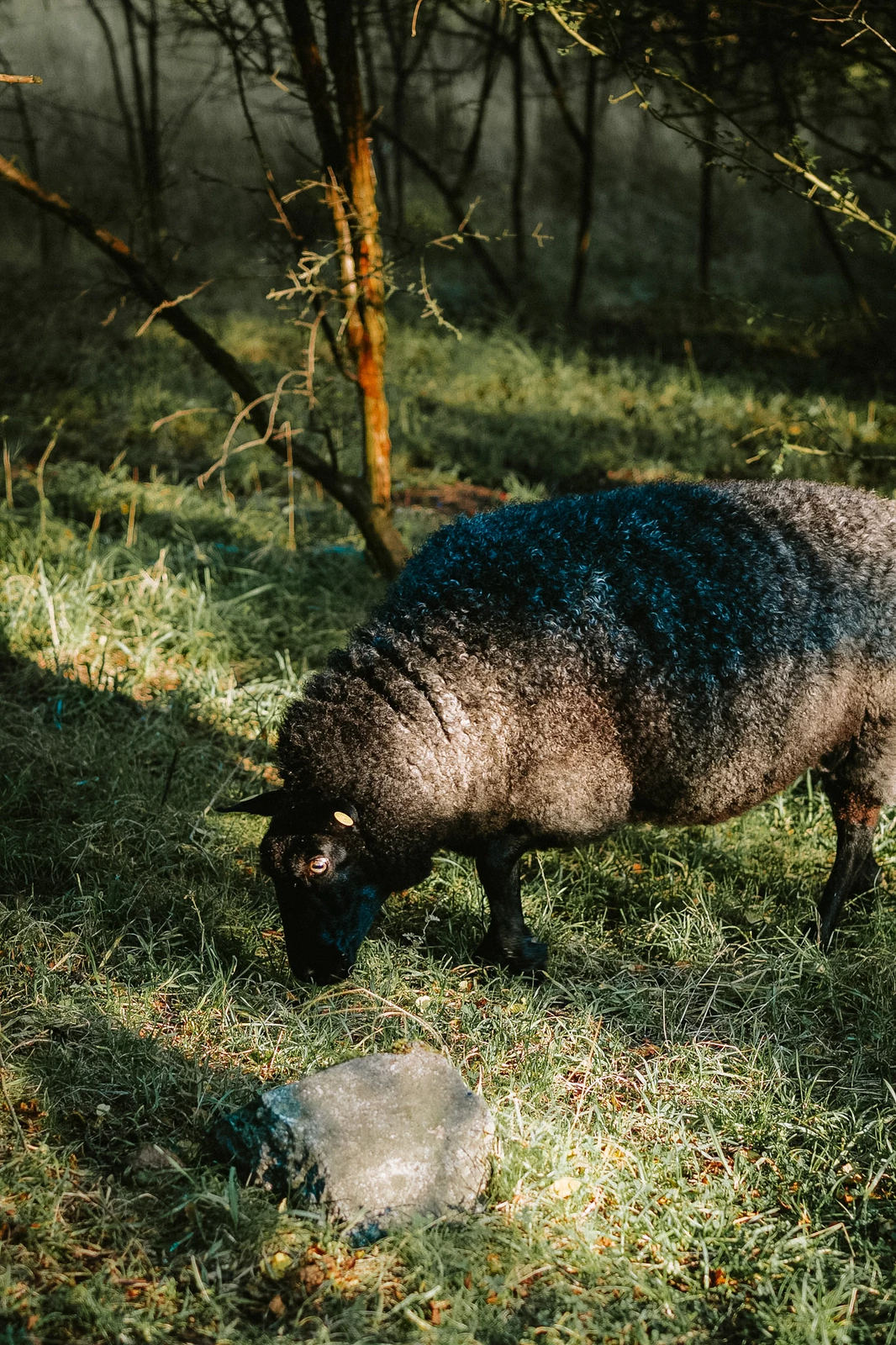 Photograph by Kasper Marx Andersen