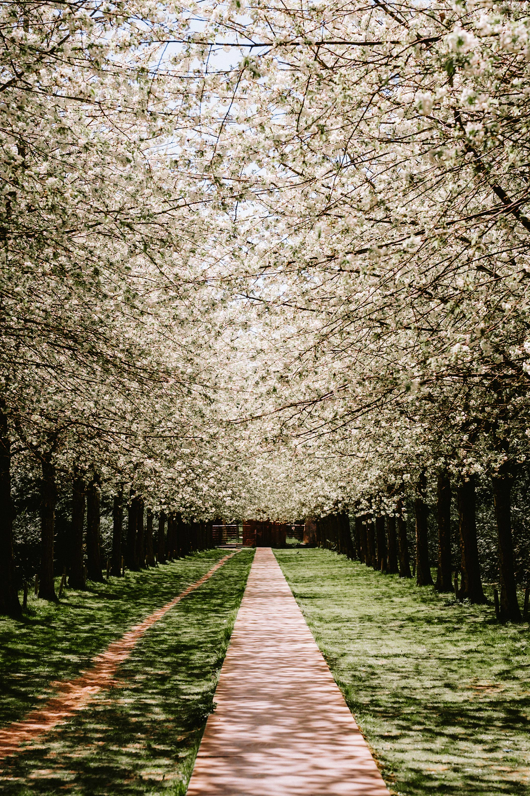 Photograph by Kasper Marx Andersen